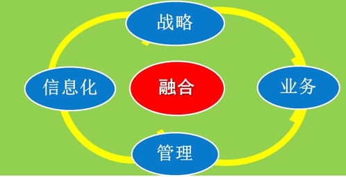 數(shù)字化轉(zhuǎn)型與企業(yè)核心能力重構(gòu)——以中國中鋼集團公司為例的啟示